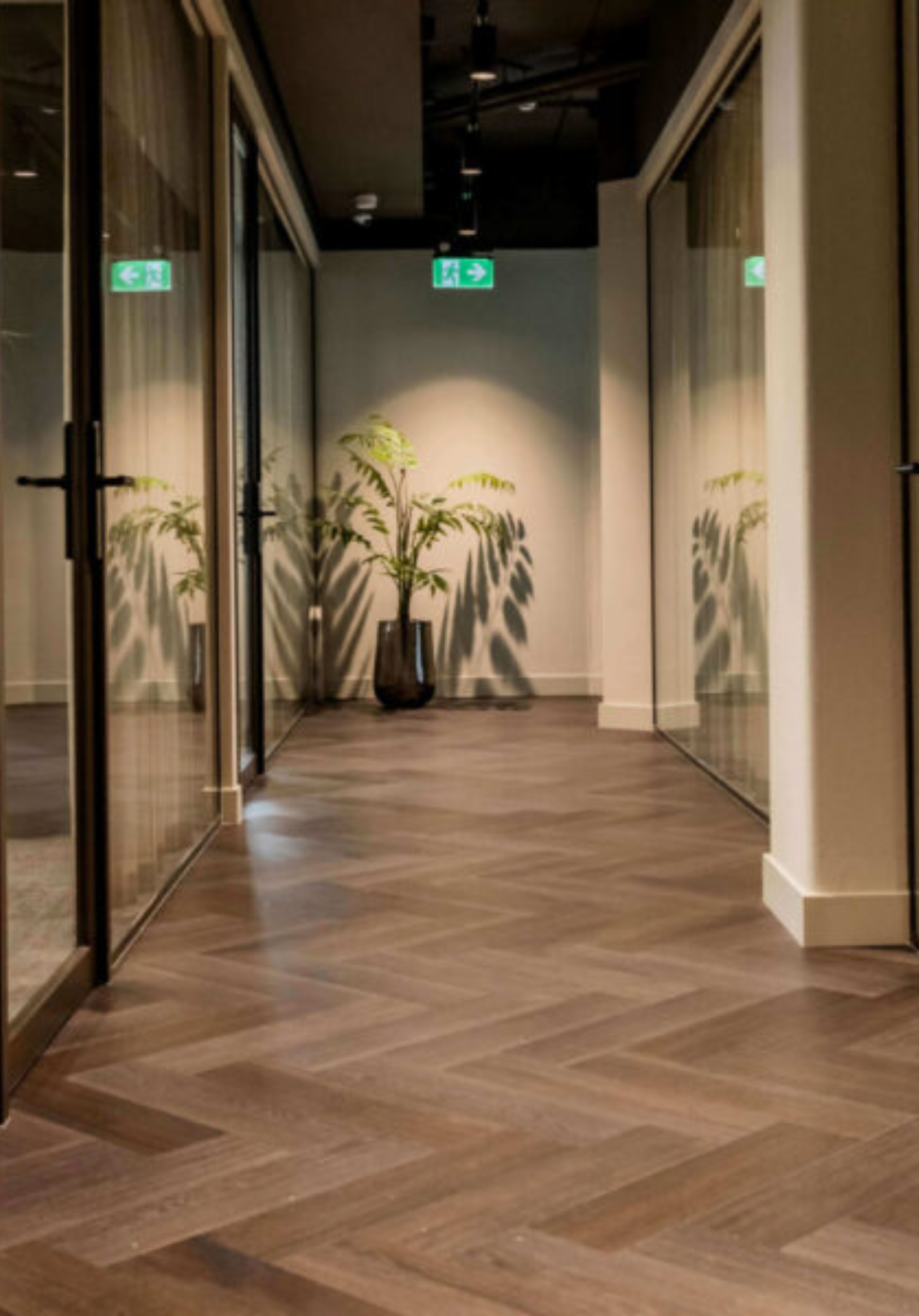 Untitled design - 2026-01-01T121244.006